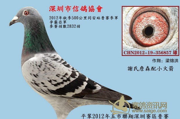 个人纹绣名片设计图片展示
