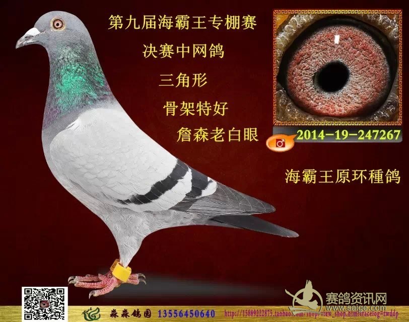 5c58de31-0b11-425c-9a3f-15729f7bbbdf.jpg