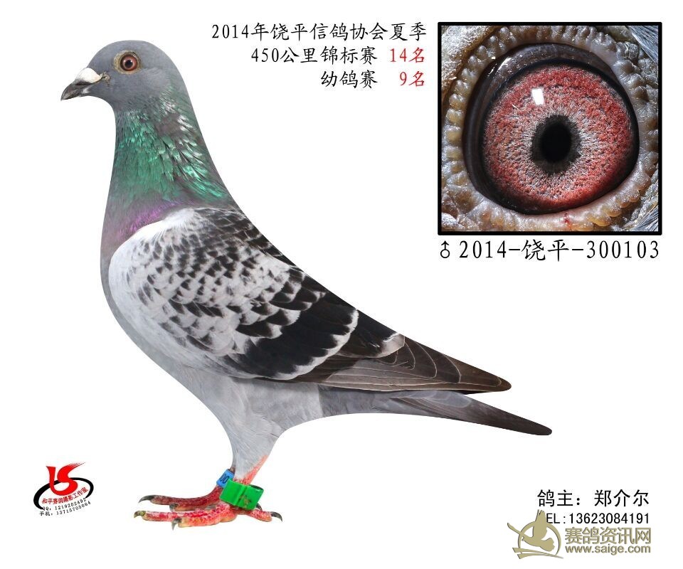 66bd710f-c0e0-41c5-a84b-b542ba905872.jpg