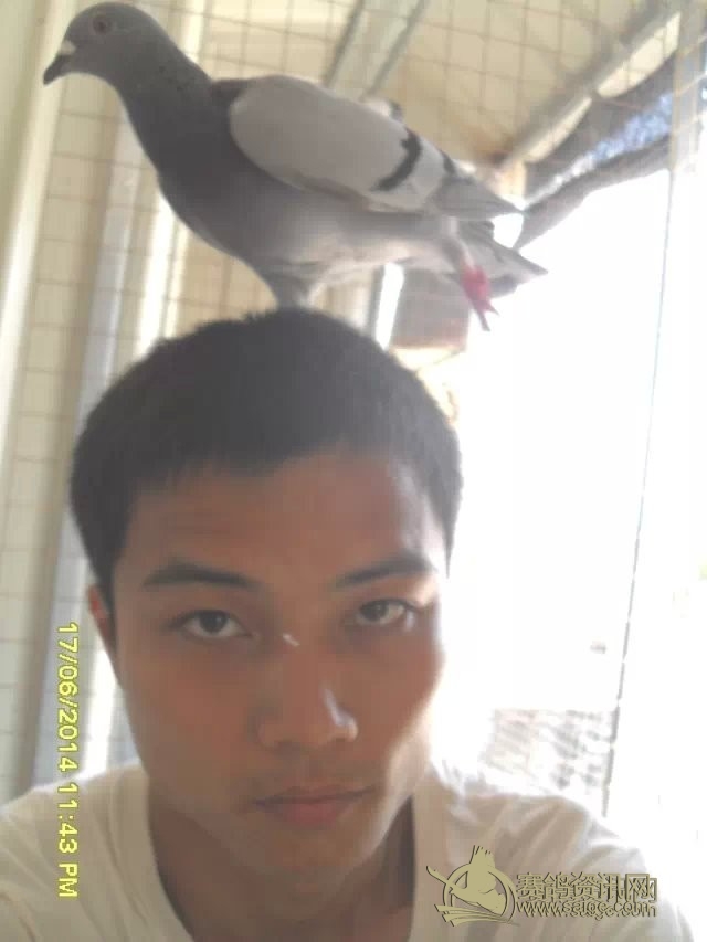 站在最高处 站在最高处