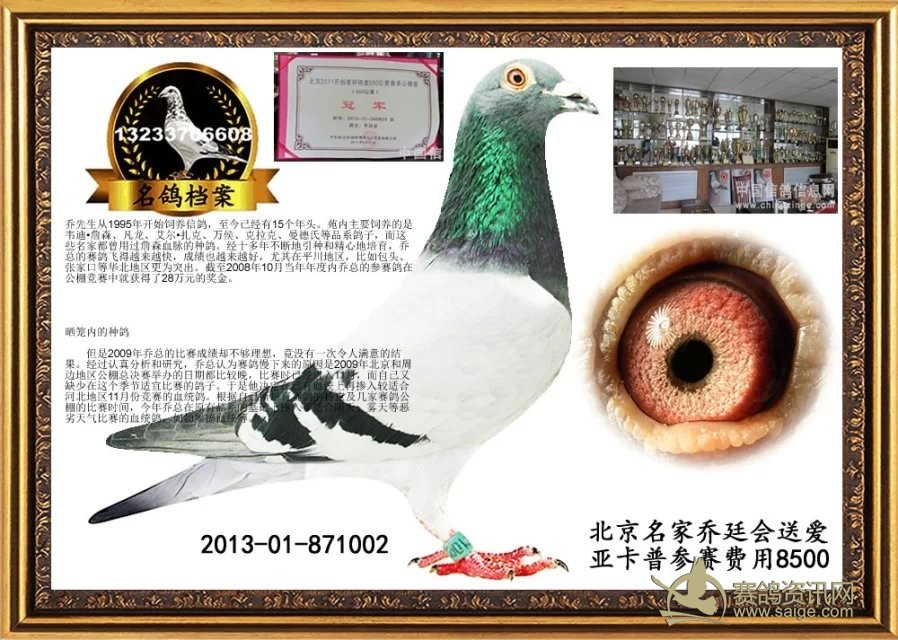 北京乔廷会送北京惠翔