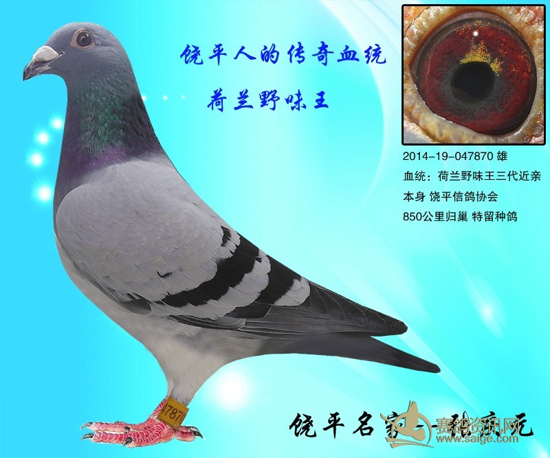 9c695e81-d414-4509-9def-70c7242f5ec1.jpg