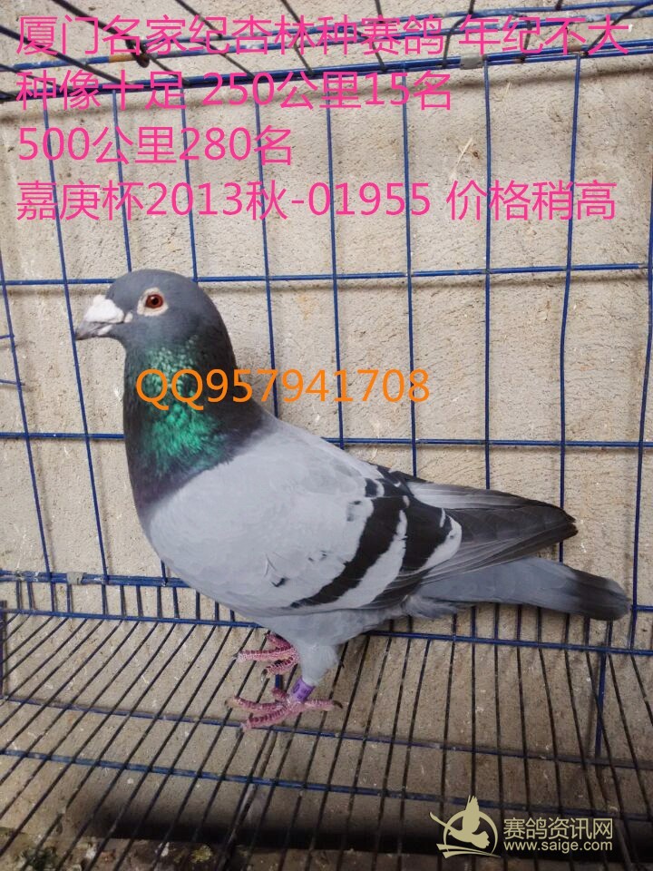d20e4bce-17f7-4d0d-b4f8-55da39c813f4.jpg