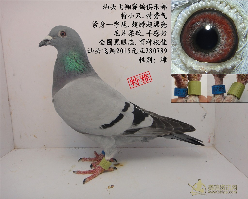 【汕头名家-方维恭,200元出售】