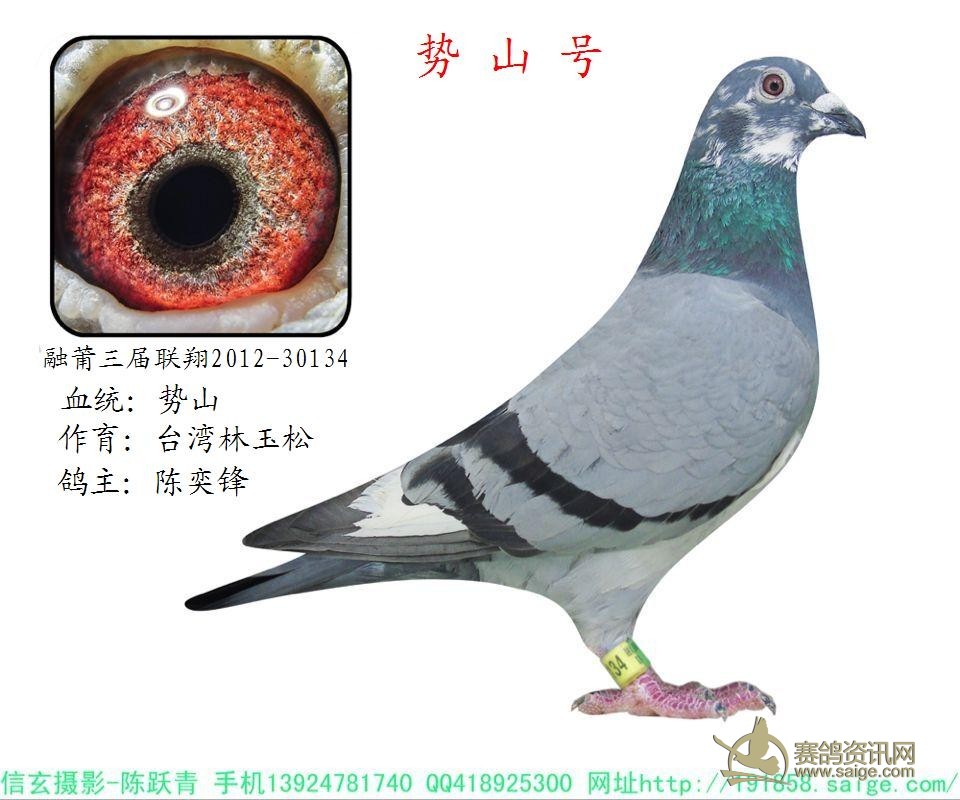 【势山号】