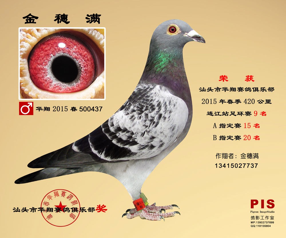 15껪贺 