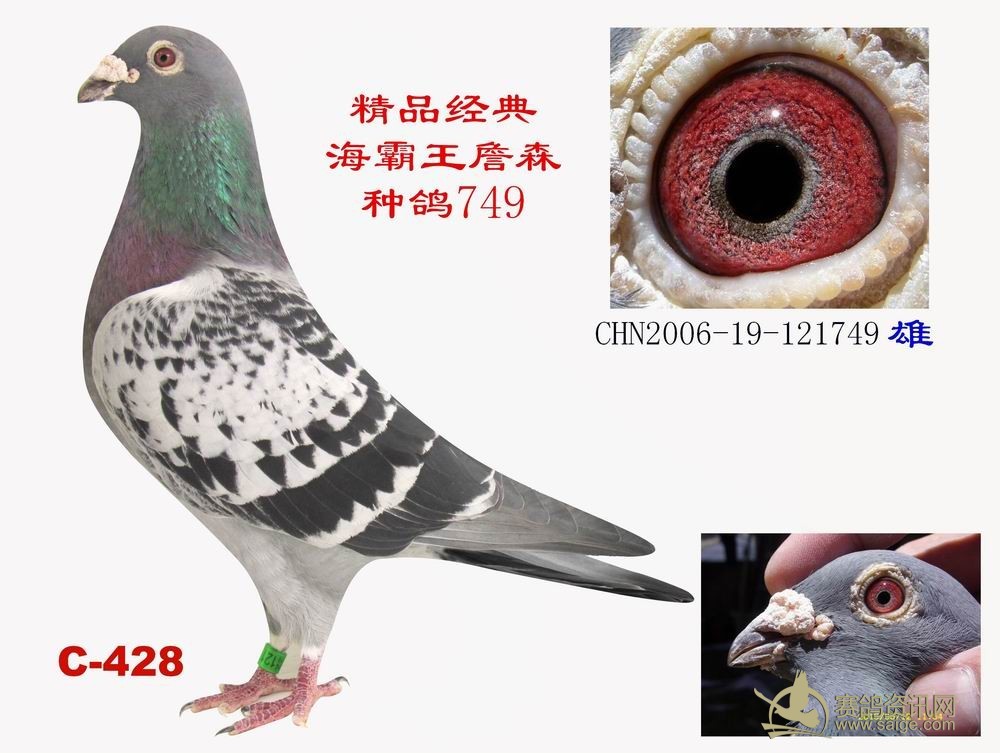 Ʒ亣ղɭָ749