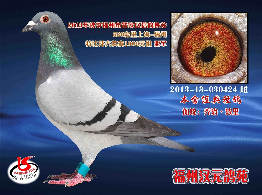 20136201000ԪǾ
