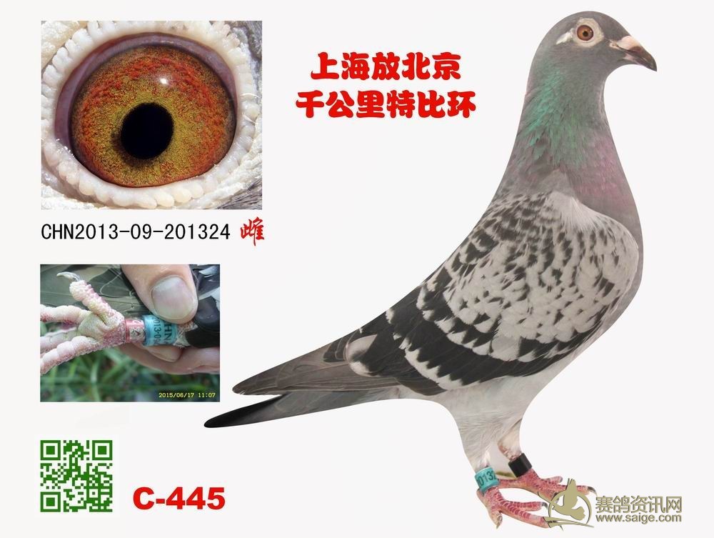 上海放北京千公里特比环