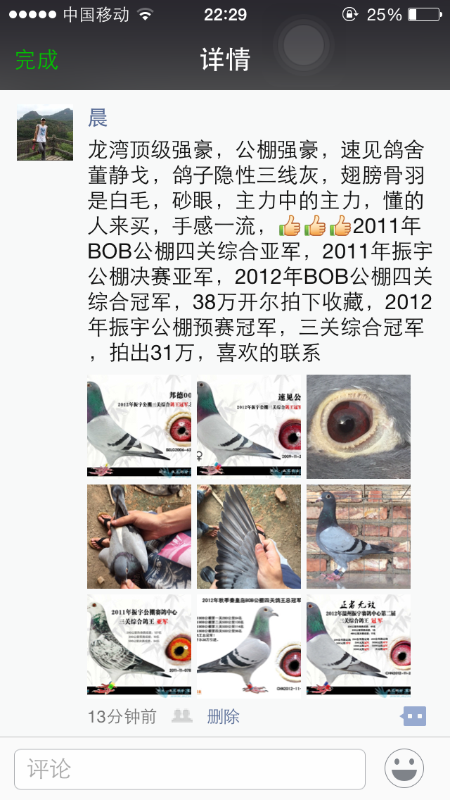 已售公棚强豪速见鸽舍董静戈鸽子隐性三线灰翅膀骨羽是白毛砂眼主力中