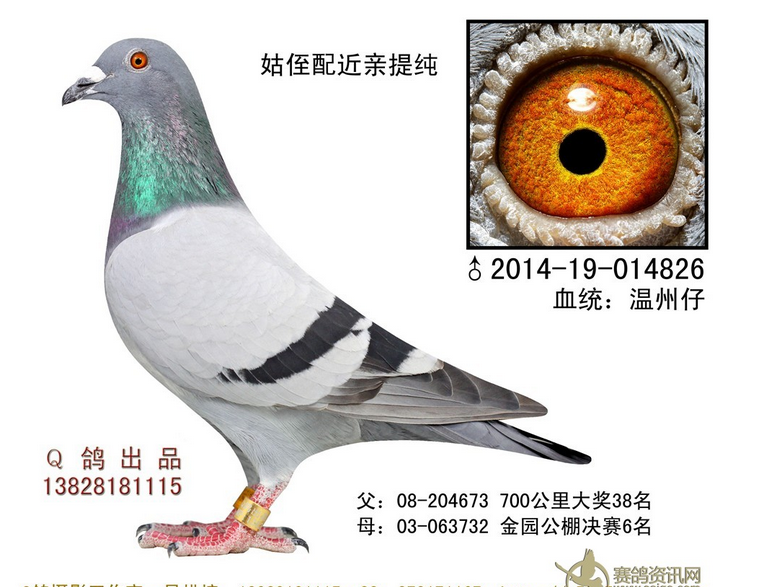 0a80b4a8-3cae-4e51-8e73-0f48a1d76291.png