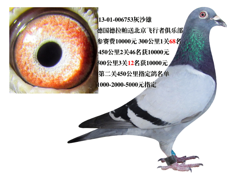 Ÿ̳ -  -    ס羰续ĵ¹Сǿͺ
