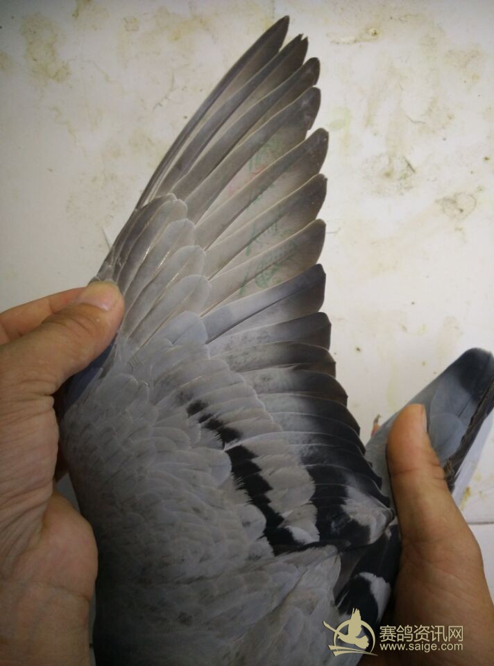 图为韩国女主播钟淑热专集10分钟 美尻强妻的欲望高清图片