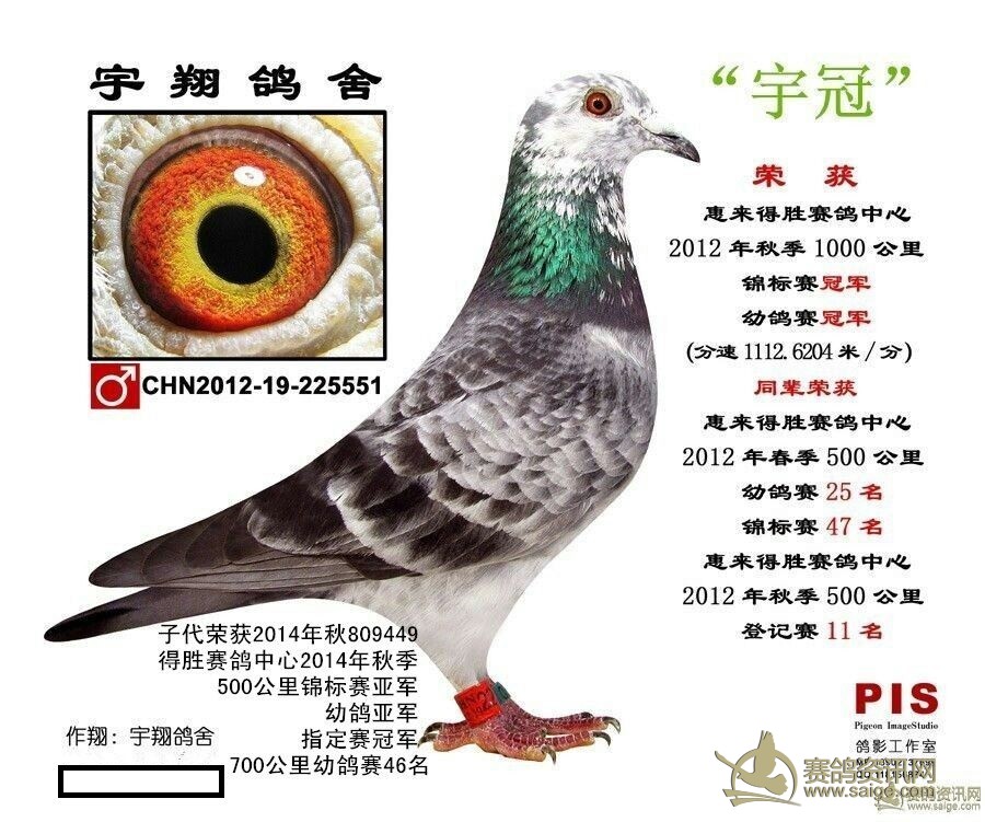868b1e28-96fd-47c2-b3cd-116ab511bfc3.jpg