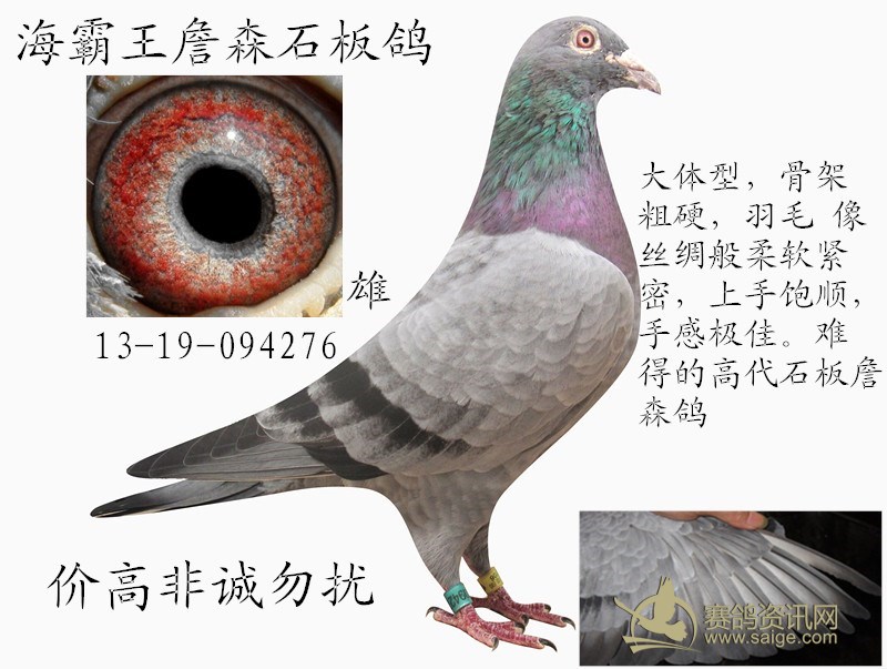 ͷƶӥʯղɭ(ղɭָ뻷