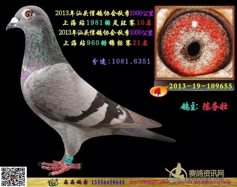 8825148b-9215-402c-99fe-b744596c01bf.jpg