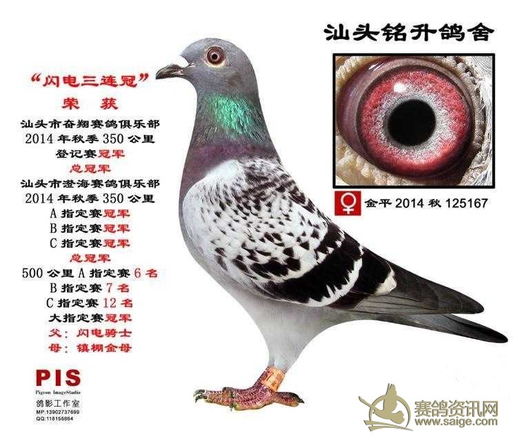 d2df25f9-51bd-46d1-89ec-f5ed7b47823f.jpg