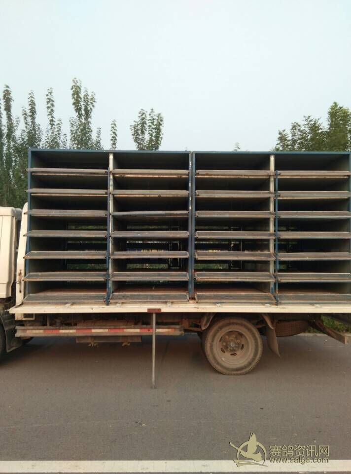 河北博冠赛鸽俱乐部9月16日B车50公里训放开