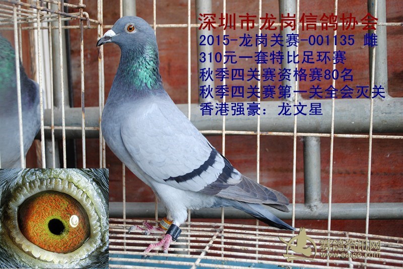 e8480e68-3d75-4c23-8cb4-0510b8bcc6c9.jpg