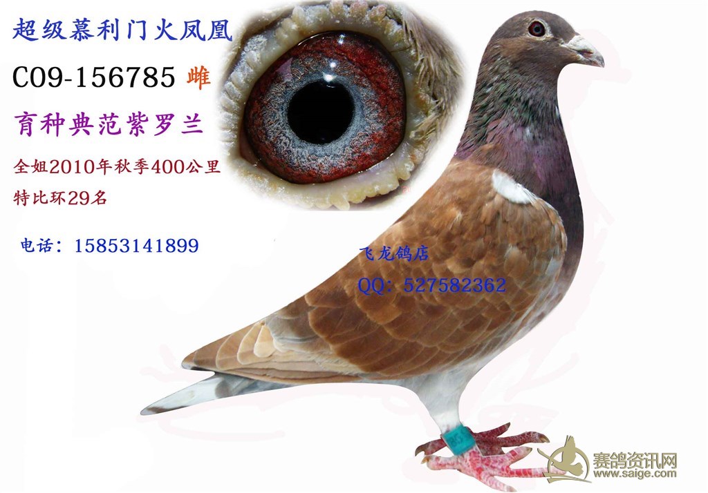 š=Ľ