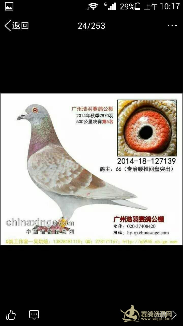 广东最大棚黄埔浩羽公棚专治腰间盘突出2011