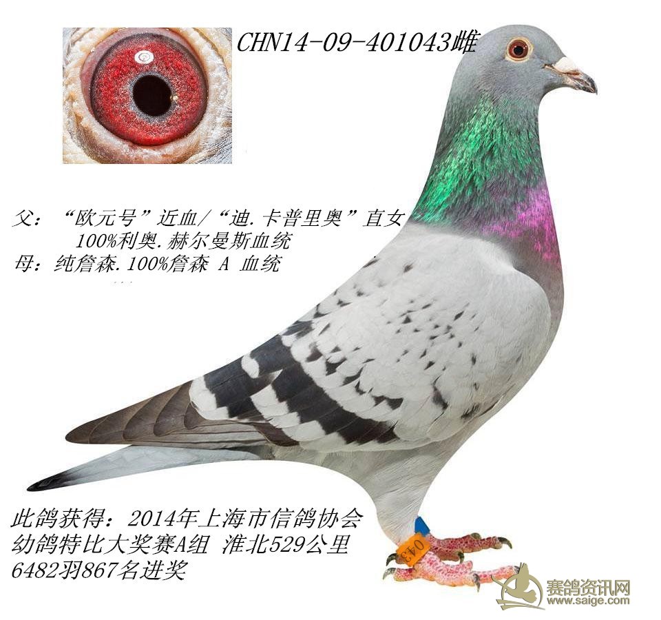 NL11-1224219 ĸCHN11-09-256900ĸвѯ