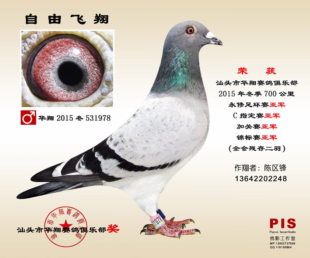 2015ͷ趬Ǿ 