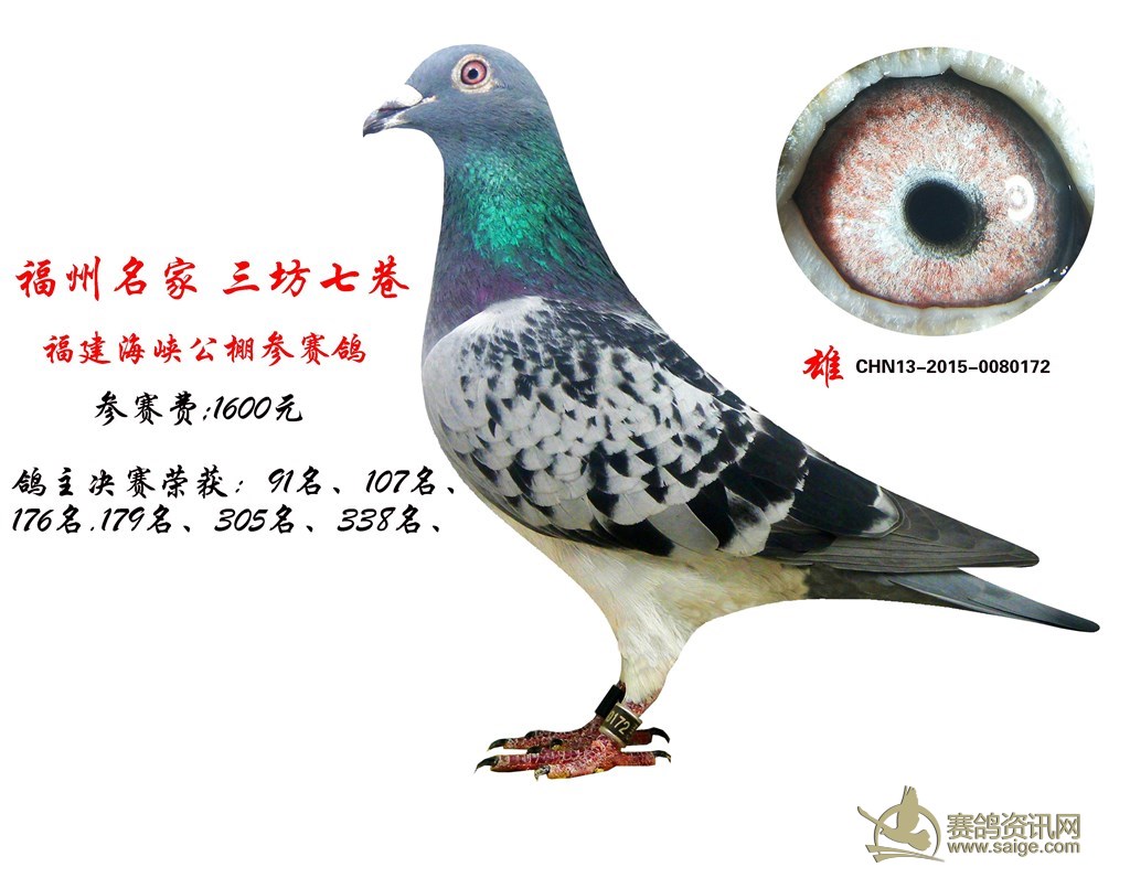 af3eacb6-888e-4db7-8418-f3da9528251a.jpg
