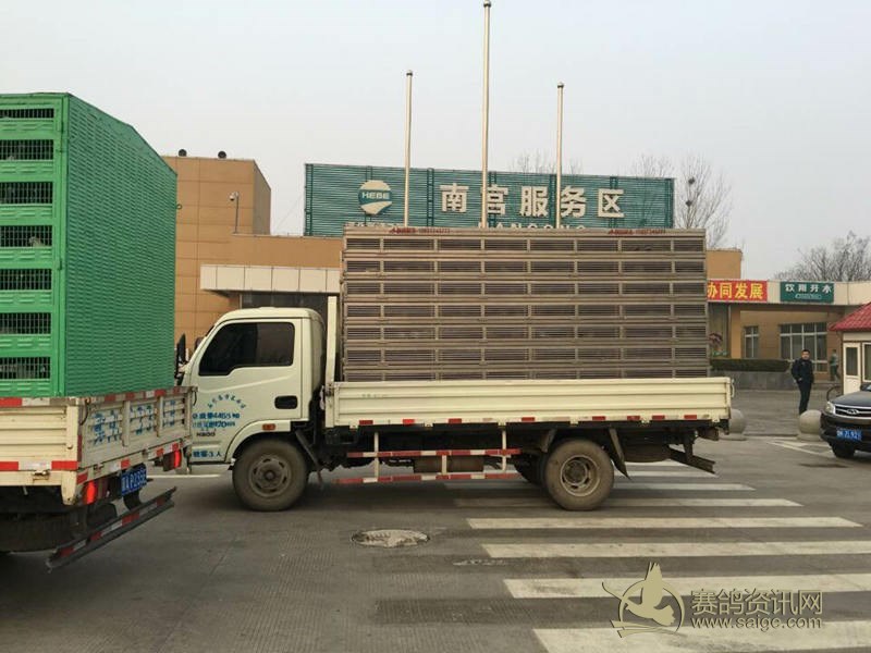 怀特俱乐部3月15日B车100公里开笼通知_俱乐