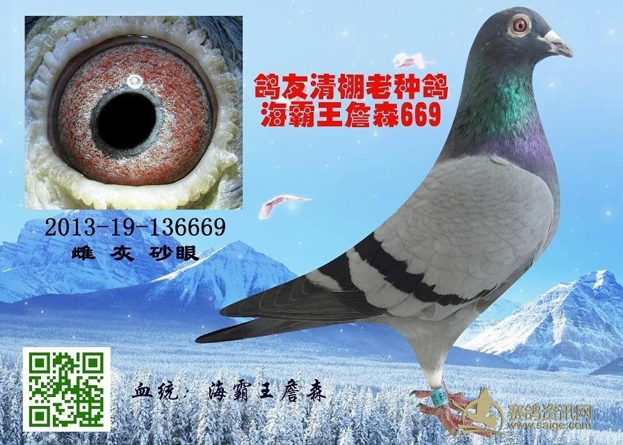 c-848 20-19-6   ɰ 500 Ԫ ָ뺣