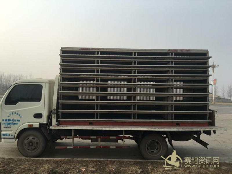 怀特俱乐部3月17日B车150公里集鸽通知_俱乐