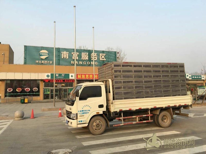 怀特俱乐部3月23日B车100公里开笼通知_俱乐