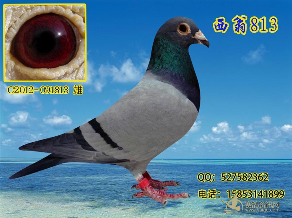 Ŀ_Ϣ_Ѷ