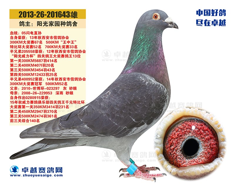 chn2013-26-201643"阳光643"