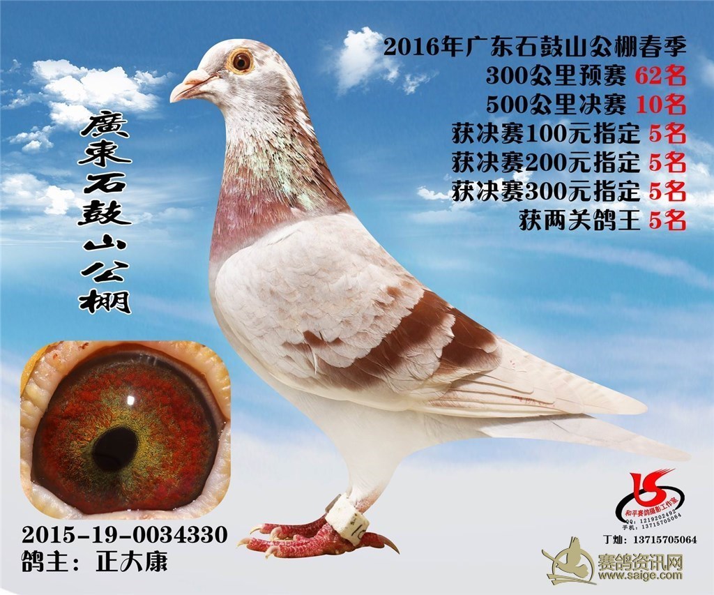 a1f92ac7-470e-4835-a73d-2d64b31645e9.jpg