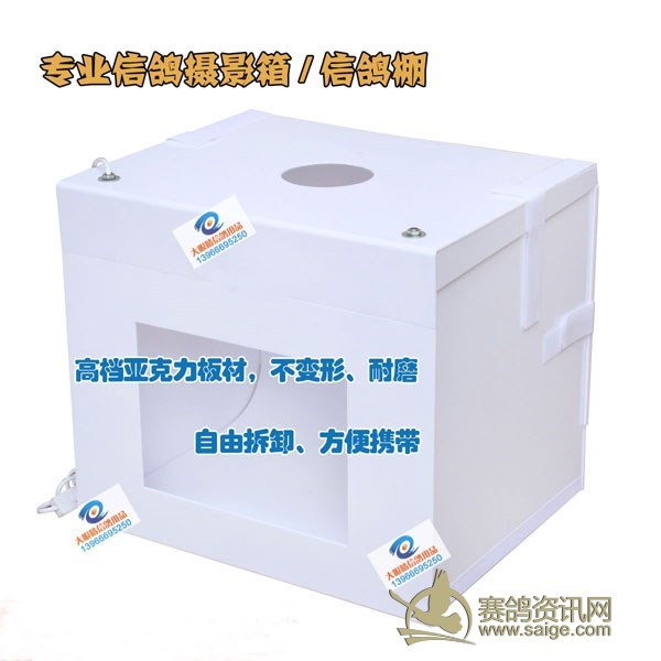 信鸽专业摄影箱/信鸽摄影箱/专业信鸽摄影箱/信鸽摄影