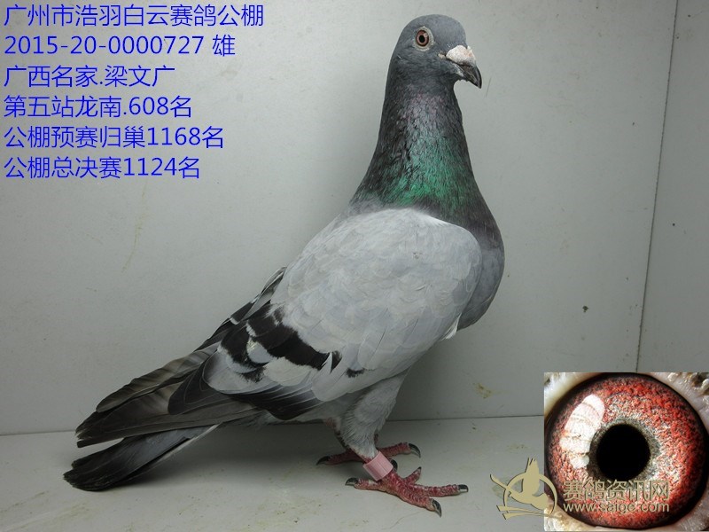 浩羽公棚.广西名家梁文广