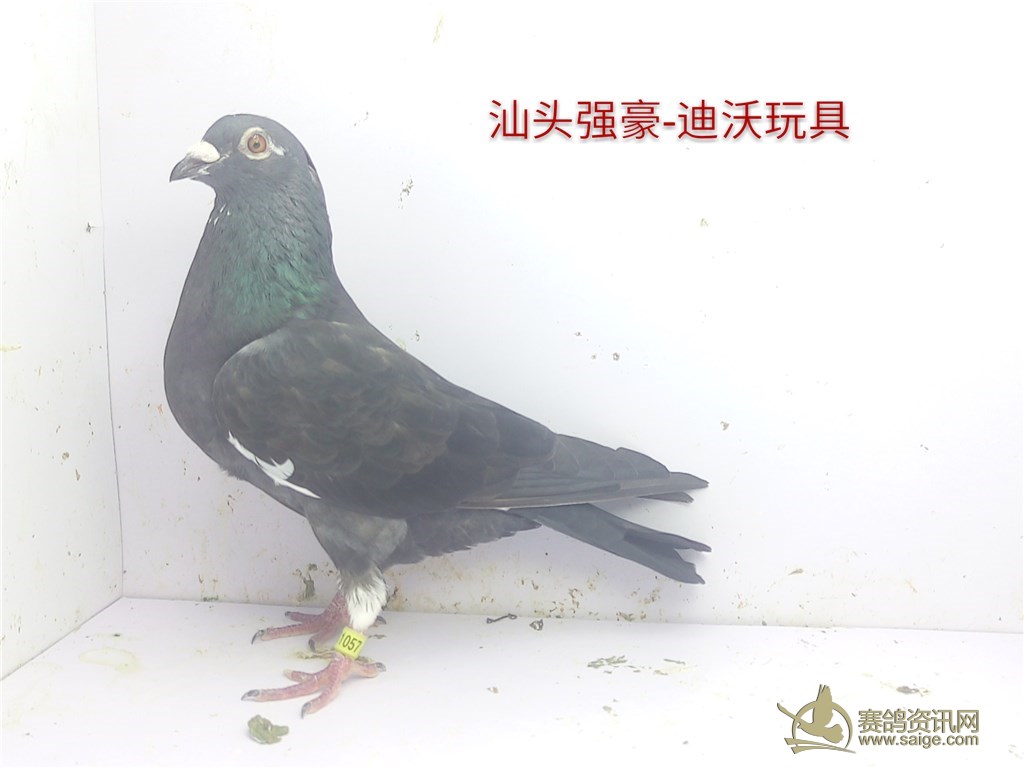d58cb135-e5b3-4ec5-9015-35c514a62b83.jpg