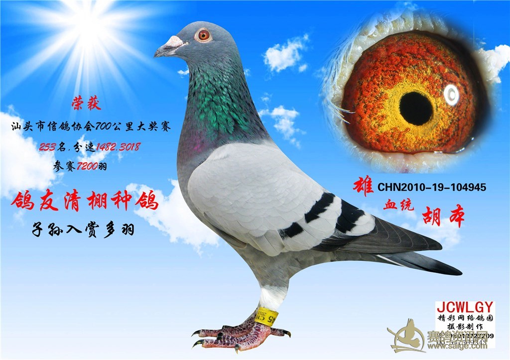 c009b309-84df-4ce3-8b64-c15c8614c677.jpg