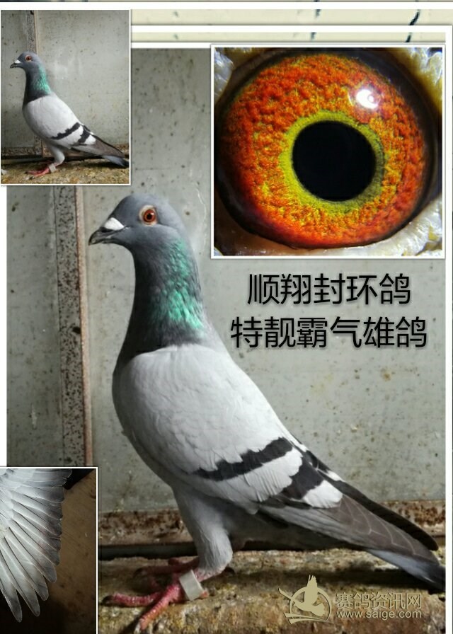 2f014b4c-9fea-4882-aeda-97521b46cc8b.jpg