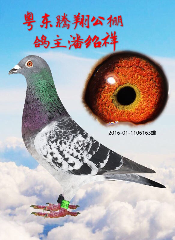 北京名家潘绍祥