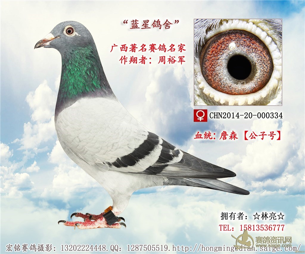 տԣƷָ[߼]_Ѷ