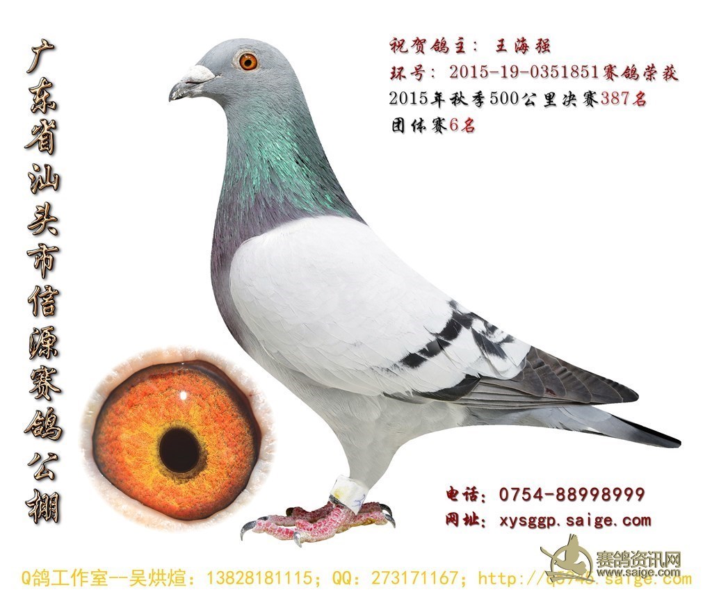 晋翔鸽友社