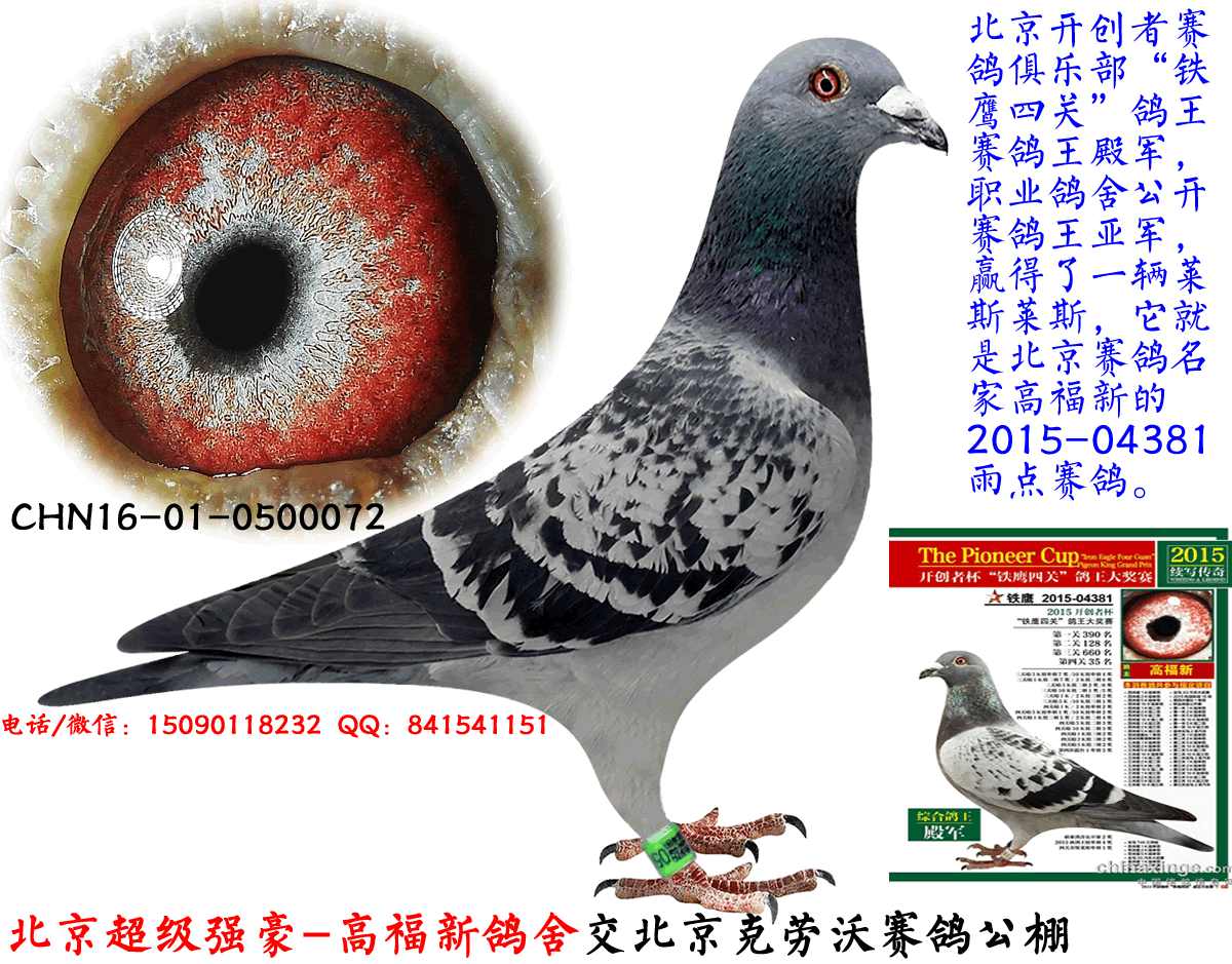 e60321ad-0814-4e5a-9487-a43a29ebe248.png