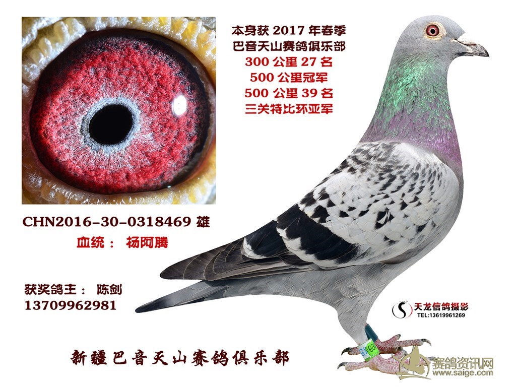 2ded6a1b-75a1-4ab6-8f01-e722f06e07ea.jpg