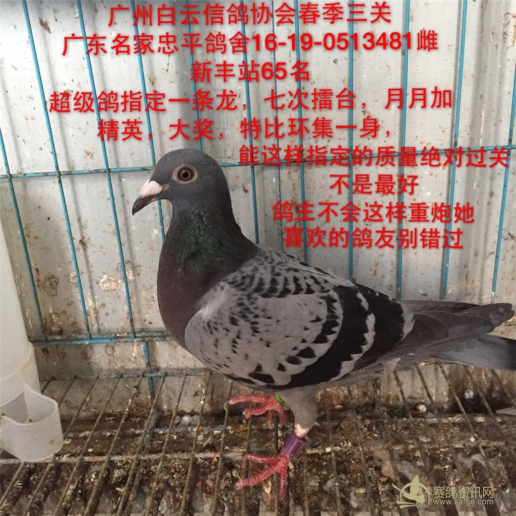 bd5ceb2a-0c79-4758-b5cf-e5d6aa26f1ee.jpg
