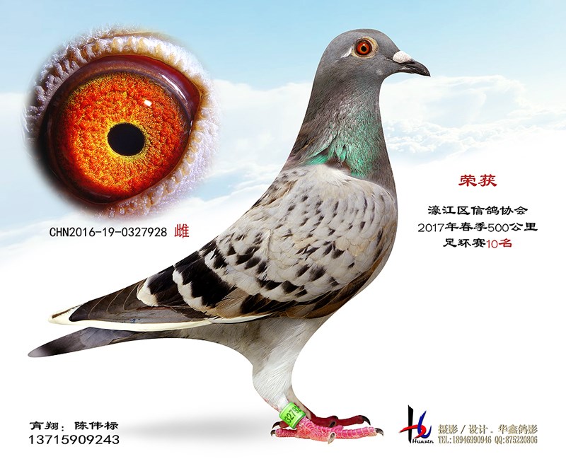 婽ŸЭ2017500㻷10  ΰ