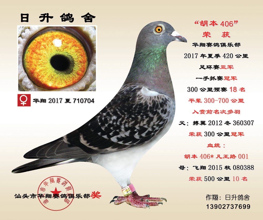 17420㻷Ǿ    