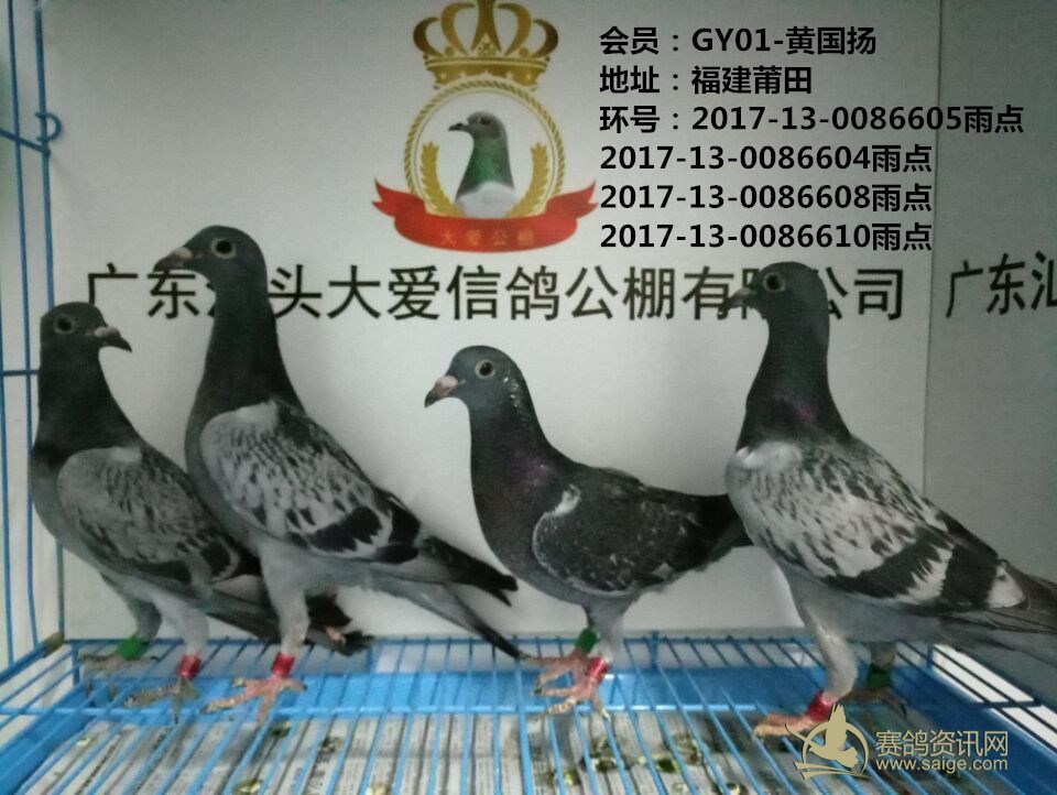 8a41de59-f2d1-48d4-a121-51d8ff997671.jpg