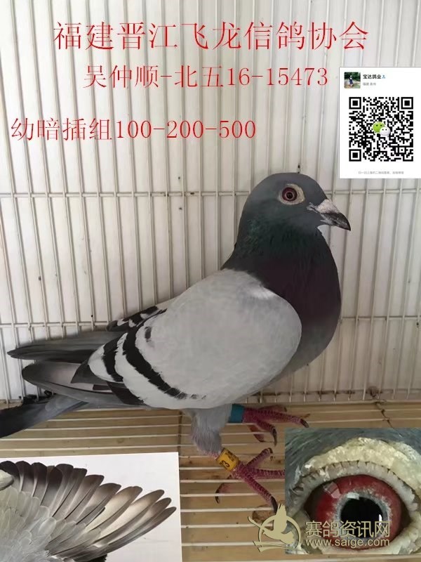 已经出售不必问价速见鸽舍董静戈2015110100023